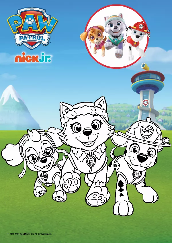 PAW Patrol Colouring Sheet 3